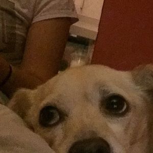 Meet your Posher, Mia